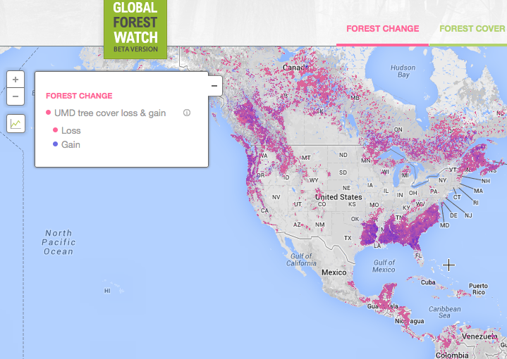 Global Forest Watch